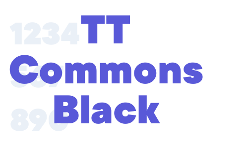 TT Commons Black Font