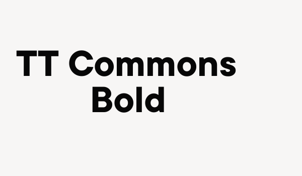 TT Commons Bold Font