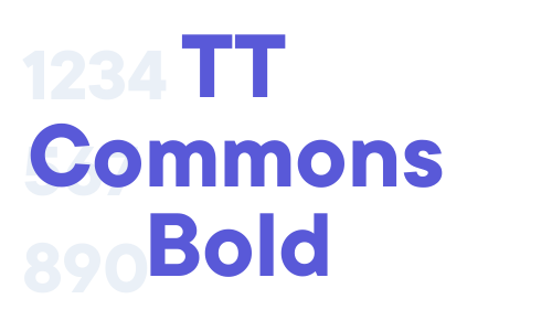 TT Commons Bold Font