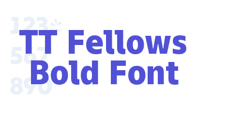 TT Fellows Bold Font-font-download