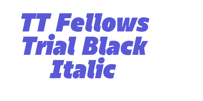 TT Fellows Trial Black Italic Font Download