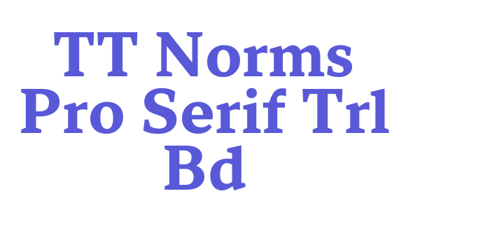 TT Norms Pro Serif Trl Bd Font Download