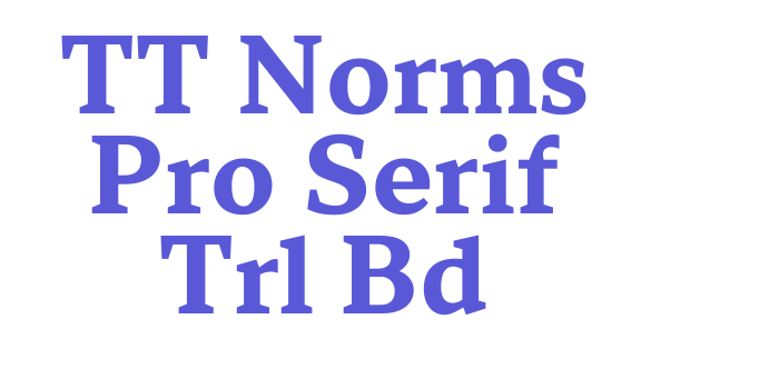 TT Norms Pro Serif Trl Bd Font