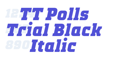 TT Polls Trial Black Italic-font-download