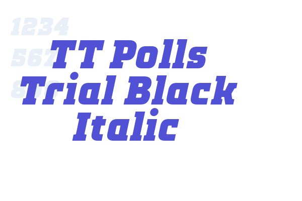 TT Polls Trial Black Italic