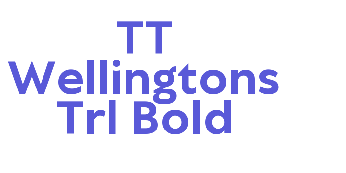 TT Wellingtons Trl Bold Font Download