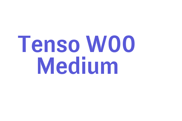 Tenso W00 Medium Font