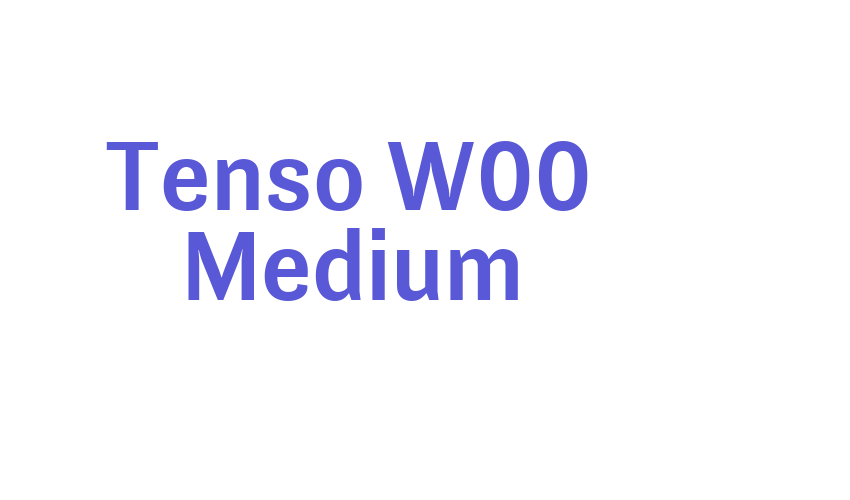 Tenso W00 Medium Font