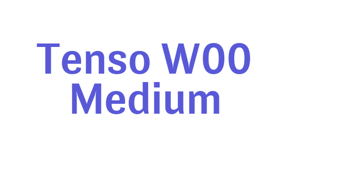 Tenso W00 Medium Font Download