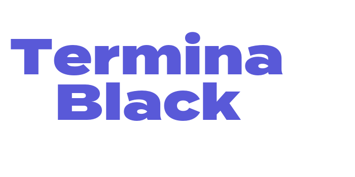 Termina Black Font