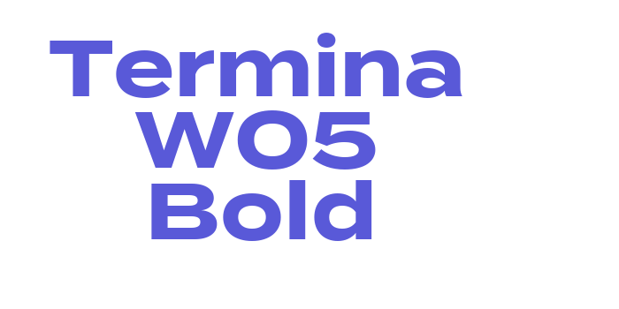 Termina W05 Bold Font Download