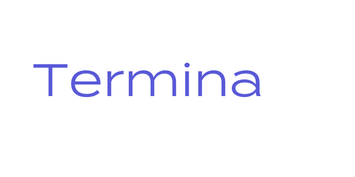 Termina Font Download