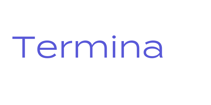 Termina Font