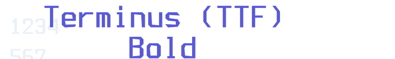 Terminus (TTF) Bold