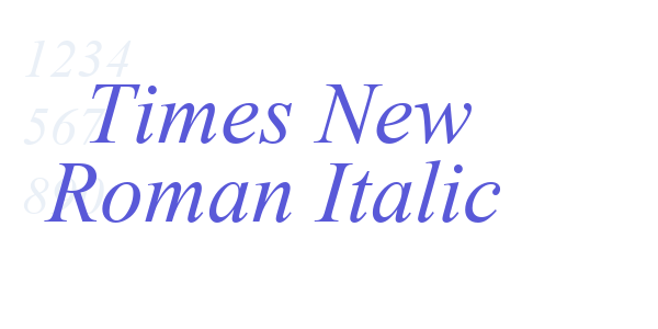 Times New Roman Italic font