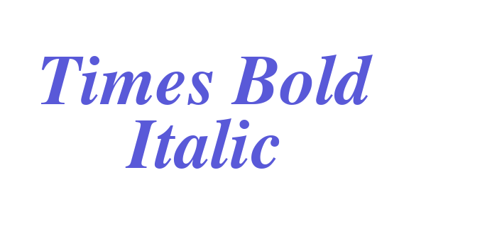 Times Bold Italic Font