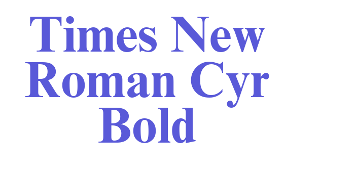 Times New Roman Cyr Bold Font