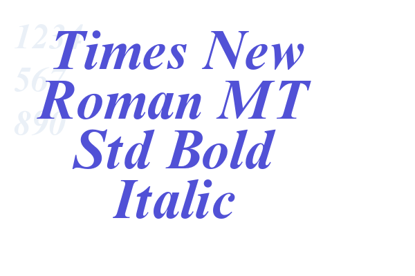 Times New Roman MT Std Bold Italic