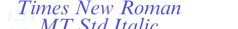 Times New Roman MT Std Italic-font
