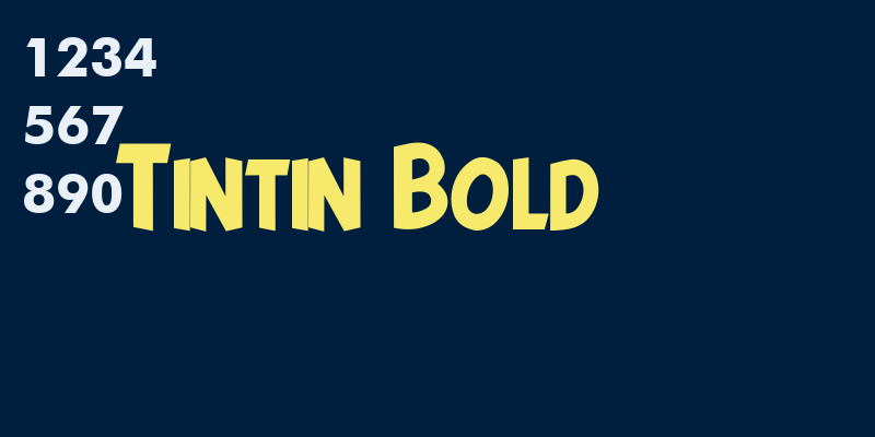 Tintin Bold