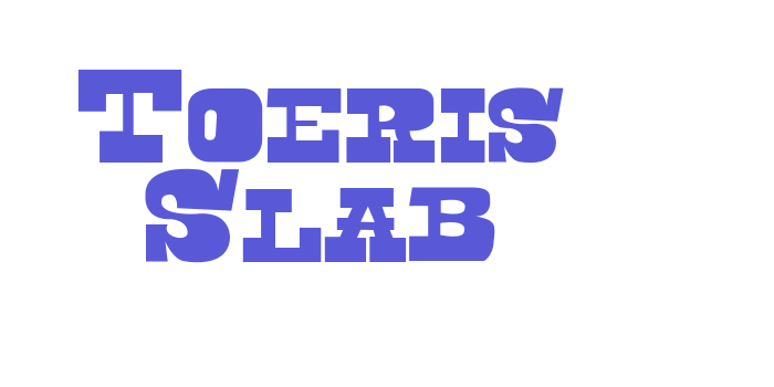 Toeris Slab Font