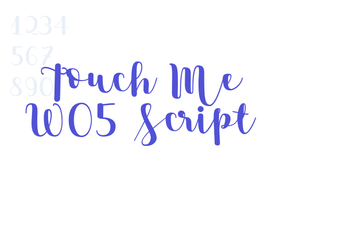 Touch Me W05 Script font download