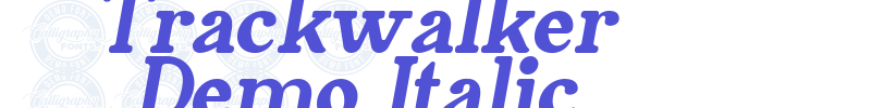 Trackwalker Demo Italic