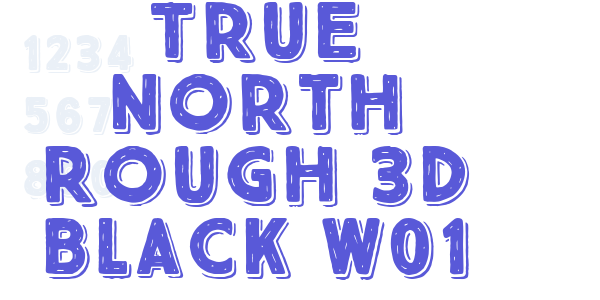 True North Rough 3D Black W01 font free