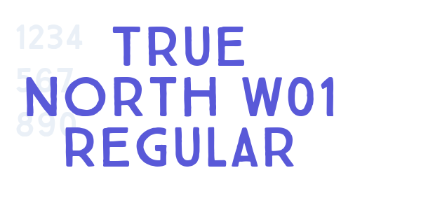 True North W01 Regular font free