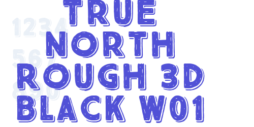 True North Rough 3D Black W01-font-download