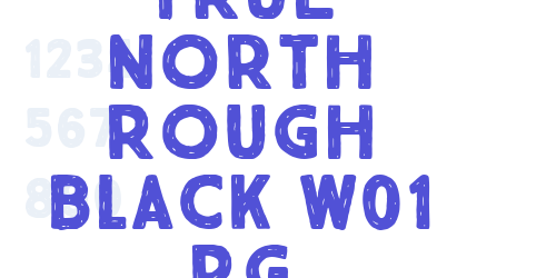 True North Rough Black W01 Rg-font-download