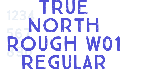 True North Rough W01 Regular-font-download
