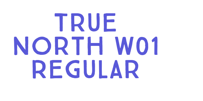 True North W01 Regular Font Download