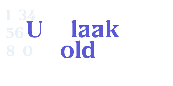 US Blaak Bold font free