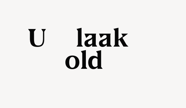 US Blaak Bold Font