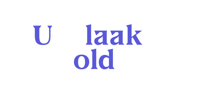 US Blaak Bold Font Download