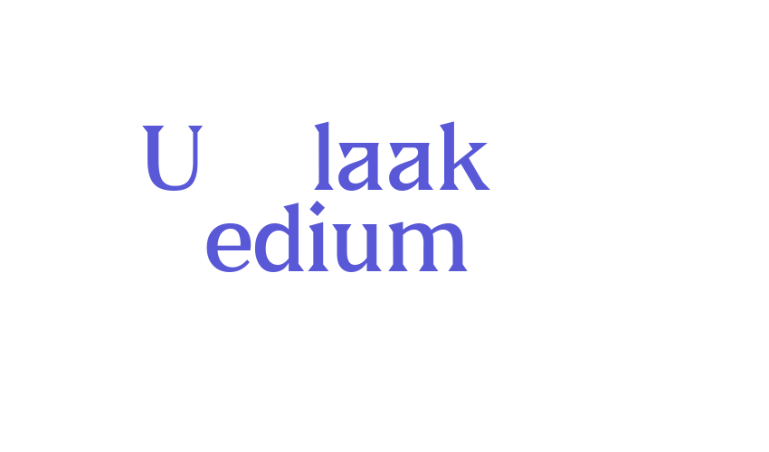 US Blaak Medium Font