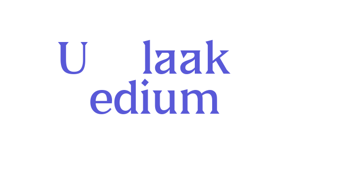 US Blaak Medium Font Download