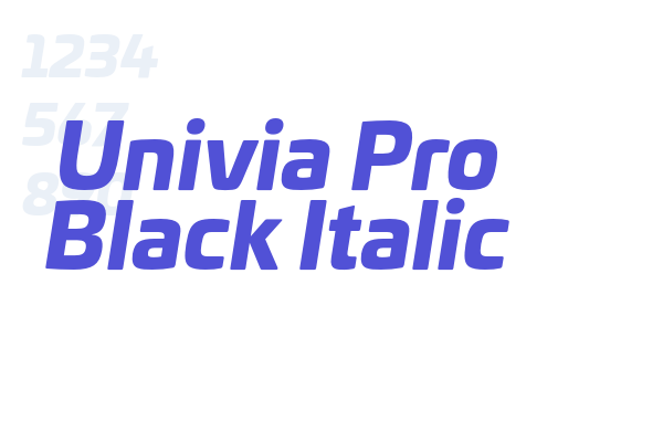 Univia Pro Black Italic