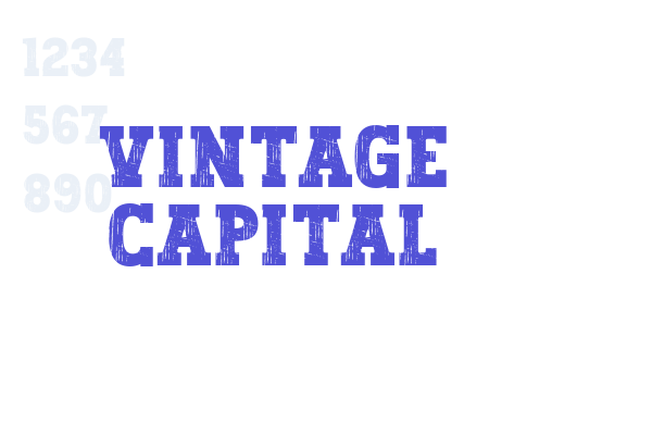 Vintage Capital