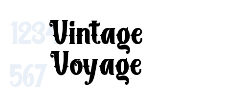 Vintage Voyage