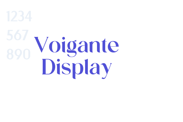 Voigante Display