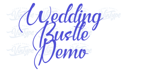 Wedding Bustle Demo-font-download