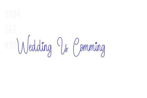 Wedding Is Comming