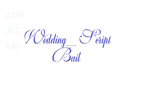 Wedding_Script Bail