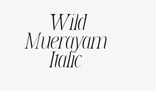 Wild Muerayam Italic Font