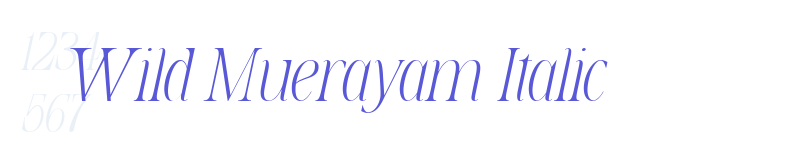 Wild Muerayam Italic-related font