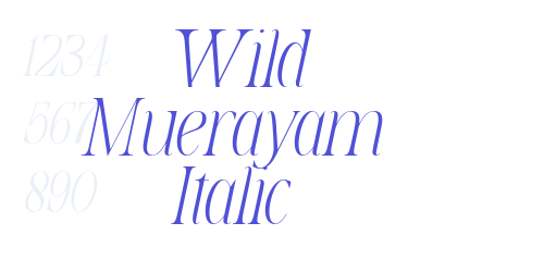 Wild Muerayam Italic-font-download