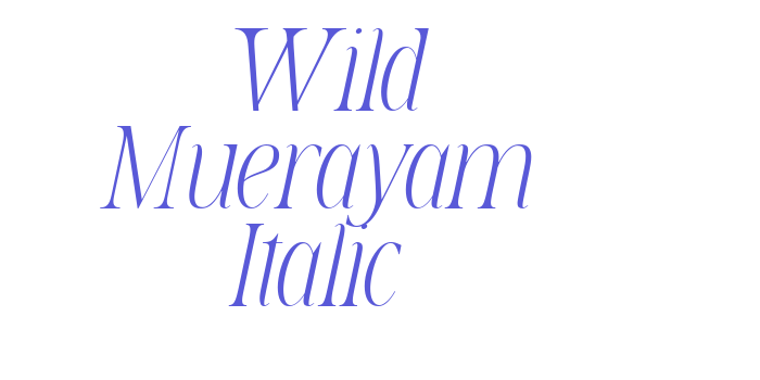 Wild Muerayam Italic Font