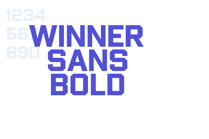 Winner Sans Bold font download